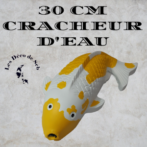 KOI DE 30 CM CRACHEUR D'EAU