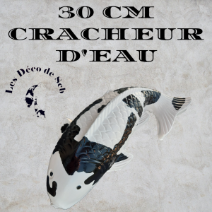 KOI DE 30 CM CRACHEUR D'EAU