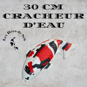 KOI DE 30 CM CRACHEUR D'EAU