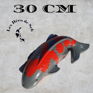 KOI DE 30 CM