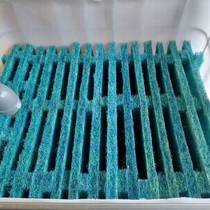 CUVE DE TAPIS JAPONAIS