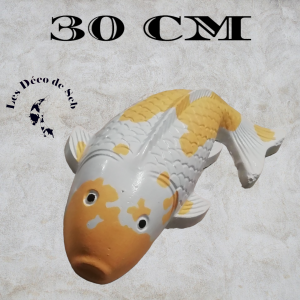 KOI DE 30 CM