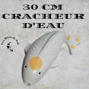 KOI 30 CM CRACHEUR D'EAU
