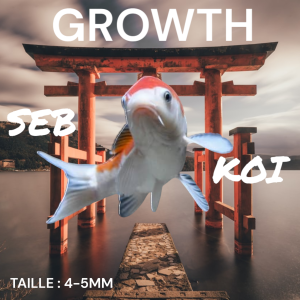 SEB KOI GROWTH