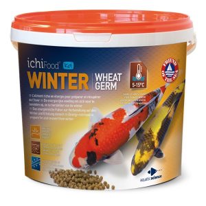 ICHI FOOD WINTER 100% COULANT