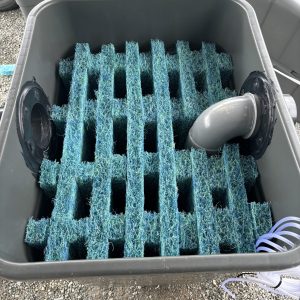 CUVE DE 300L DE TAPIS JAPONAIS